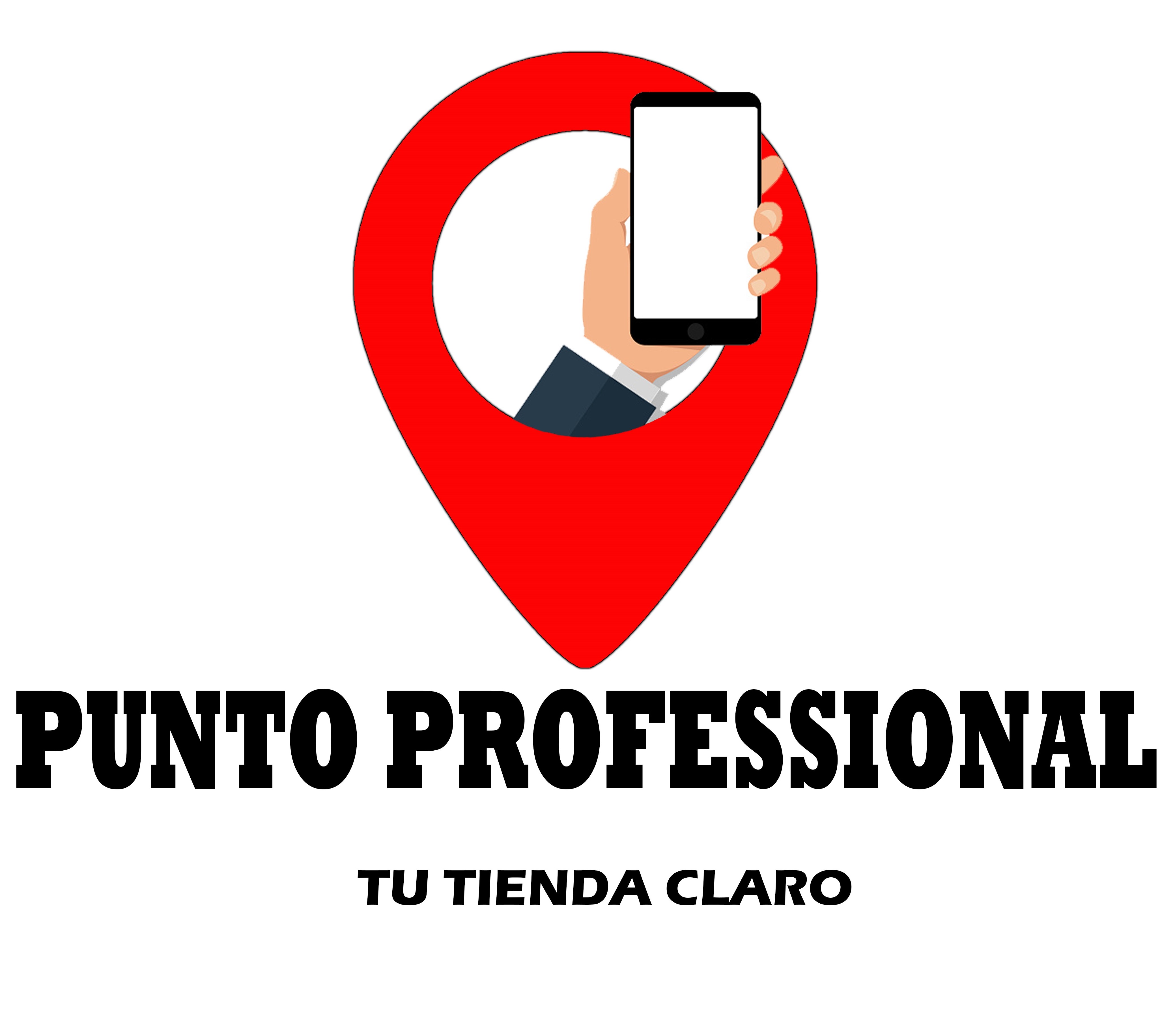 Punto Professional