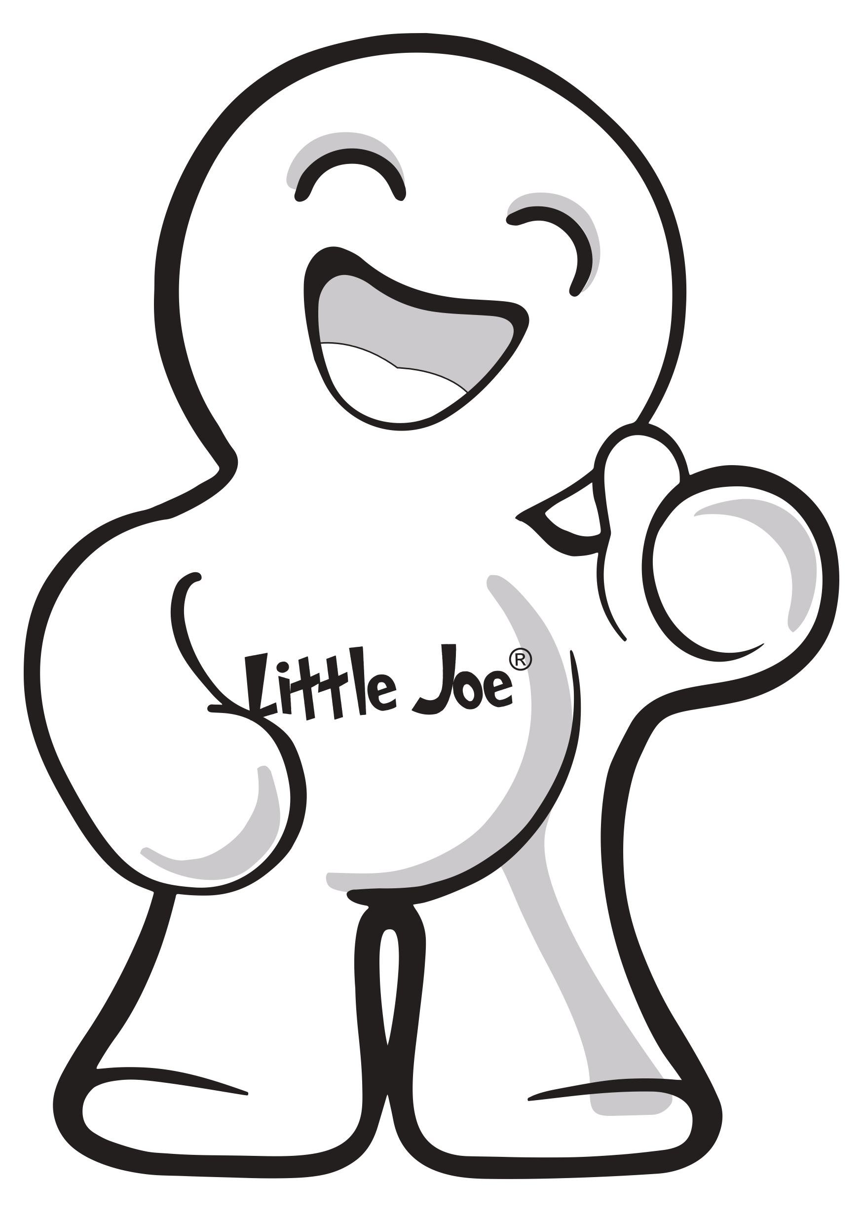 Sistemas Sólidos y Soluciones S.A