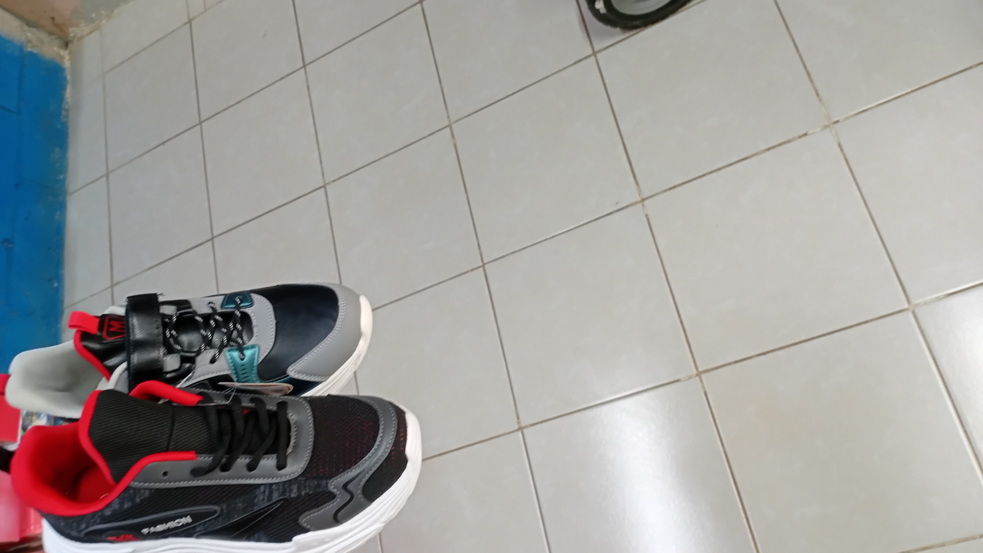 Tenis Ataso - MISS BELLA ZAPATERIA