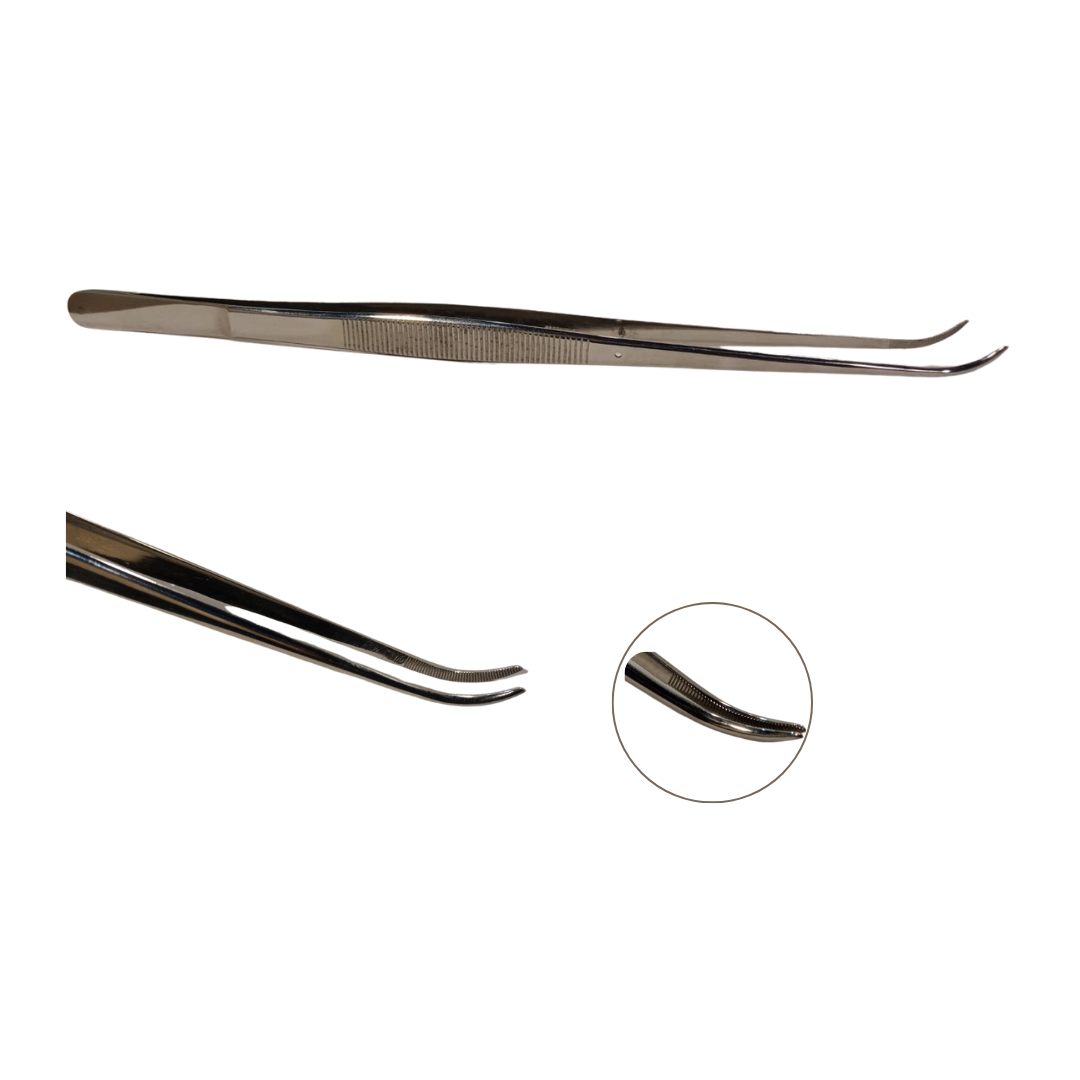 PINZA DE DISECCION FINA CURVA 10 S/D - Proveedora De Salud Total, Sociedad Anonima