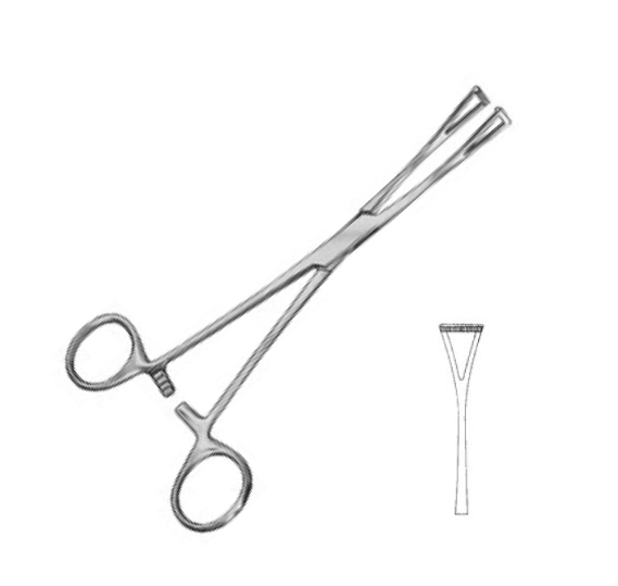 PINZA DUVAL COLLIN 21CM X 15MM - Proveedora De Salud Total, Sociedad Anonima