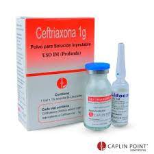 CEFTRIAXONA Y LIDOCAINA 1 VIAL Y 1 AMPOLLA KIT 1G. POLVO PARA SOLUCIÓN INYECTABLE CAPLIN POINT - FARMACIA NUEVO MILENIO