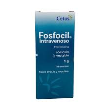 FOSFOCIL (Intravenoso) *Inyectable - FARMACIA NUEVO MILENIO