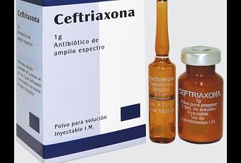 CEFTRIAXONA 1G *solucion inyectable IM - FARMACIA NUEVO MILENIO