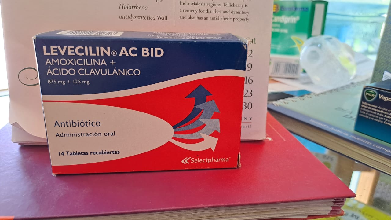 LEVECILIN AC BID (Amoxicilina+acido clavulanico 875mg+125mg) * 14 Tabletas - FARMACIA NUEVO MILENIO