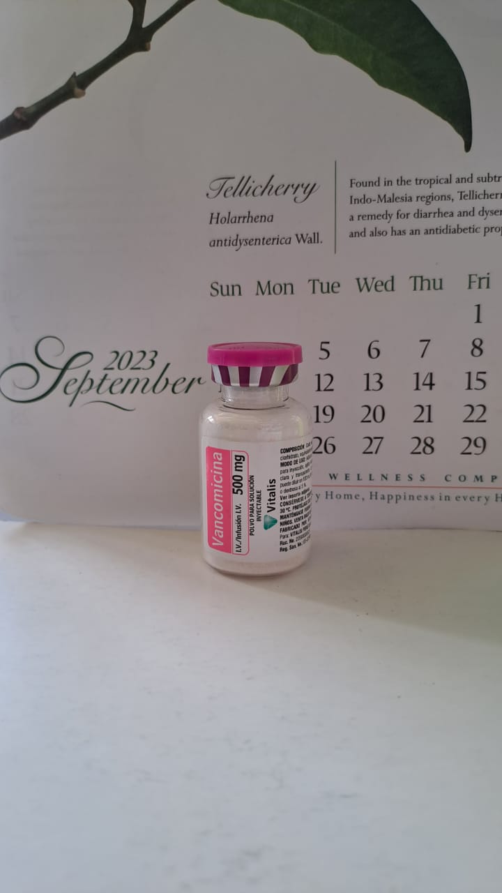 VANCOMICINA POLVO PARA SUSPENSION INYECTABLE 500MG - FARMACIA NUEVO MILENIO