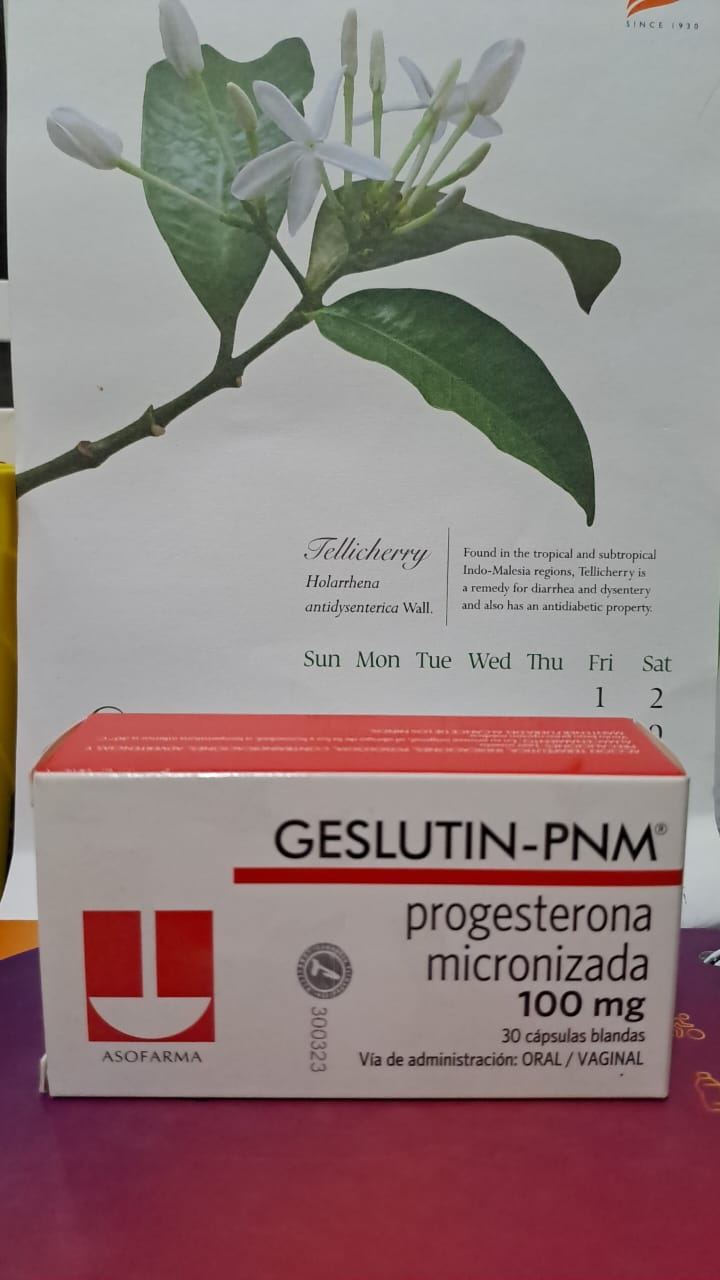 GESLUTIN-PNM  (Progesterona Micronizada 100mg )   30 *Capsulas vaginal - FARMACIA NUEVO MILENIO