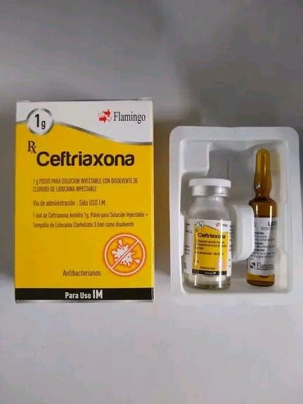 Ceftriaxona/Lidocaina Frasco 1 G IV Flamingo - Farmacia Marcos