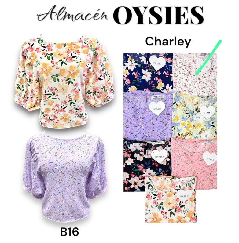 B16 Oferta - Oysies