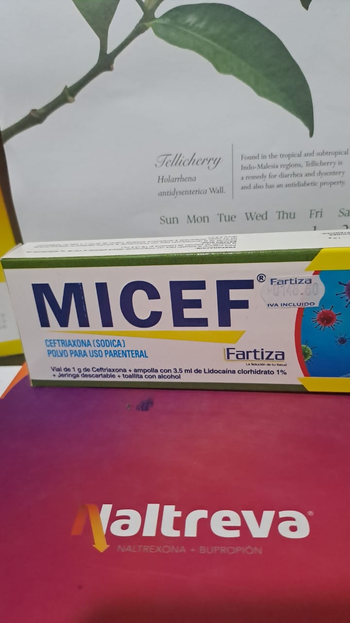 MICEF  *Cefriaxona sodica) *Inyectable - FARMACIA NUEVO MILENIO