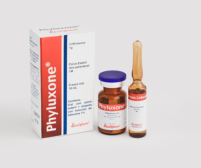 Phyluxone (Ceftriaxona 1g (Polvo Esteril Uso I.M I.V) - FARMACIA NUEVO MILENIO
