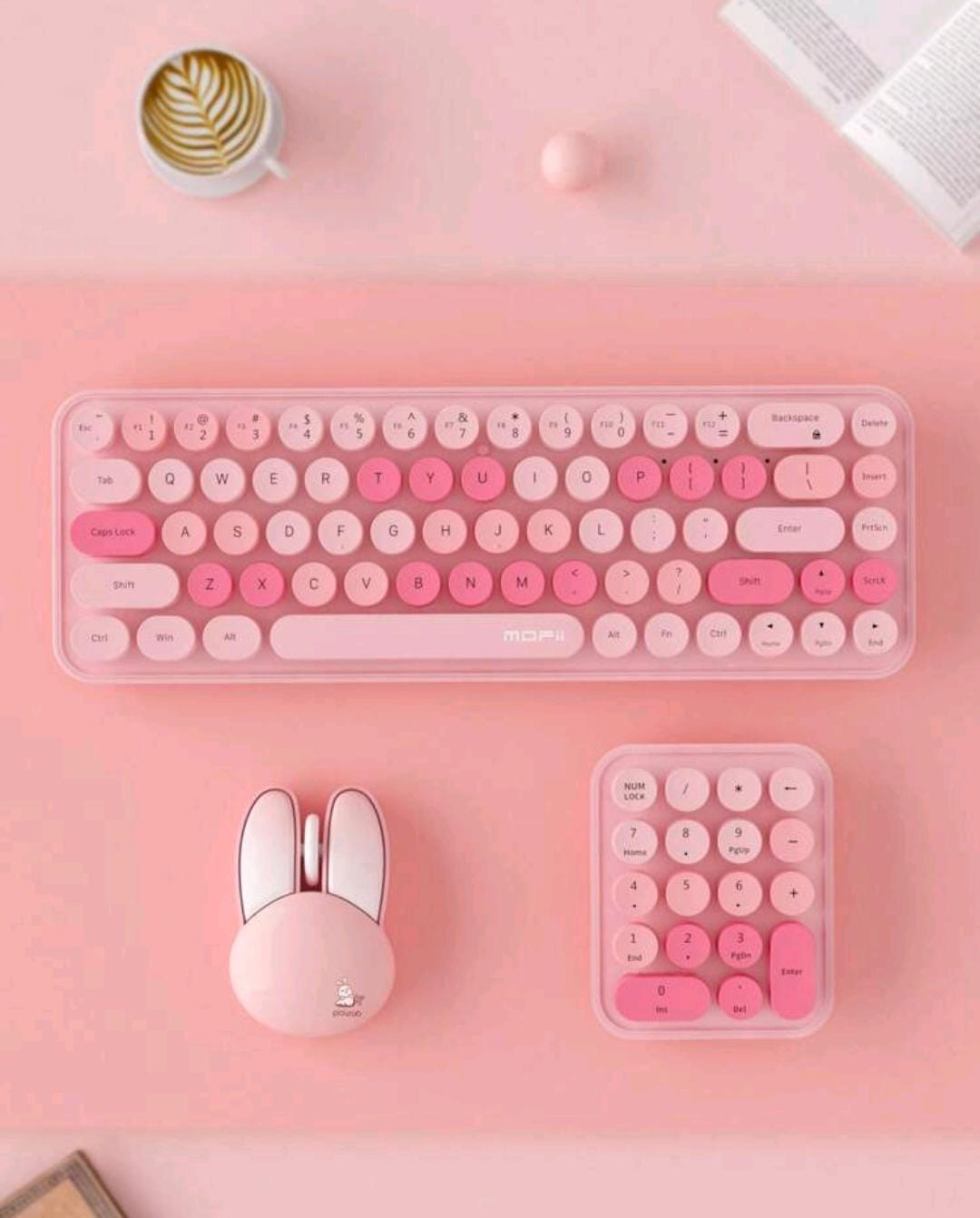 combo de teclado y mouse de conejo.