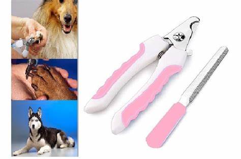 Corta uña con Lima 2021260 - Clínica veterinaria Dr. Can