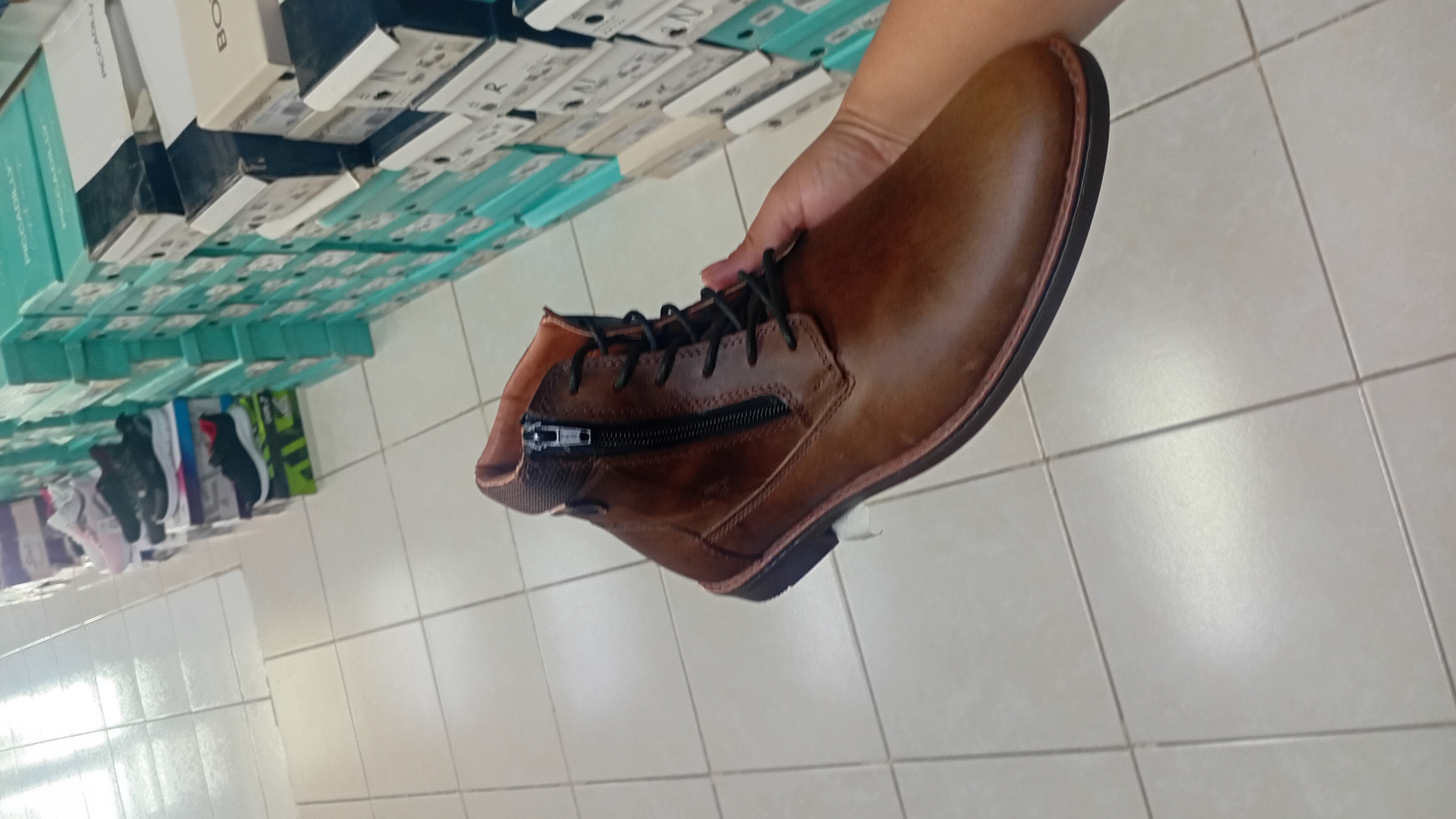 Calzado Caballero Gast - MISS BELLA ZAPATERIA