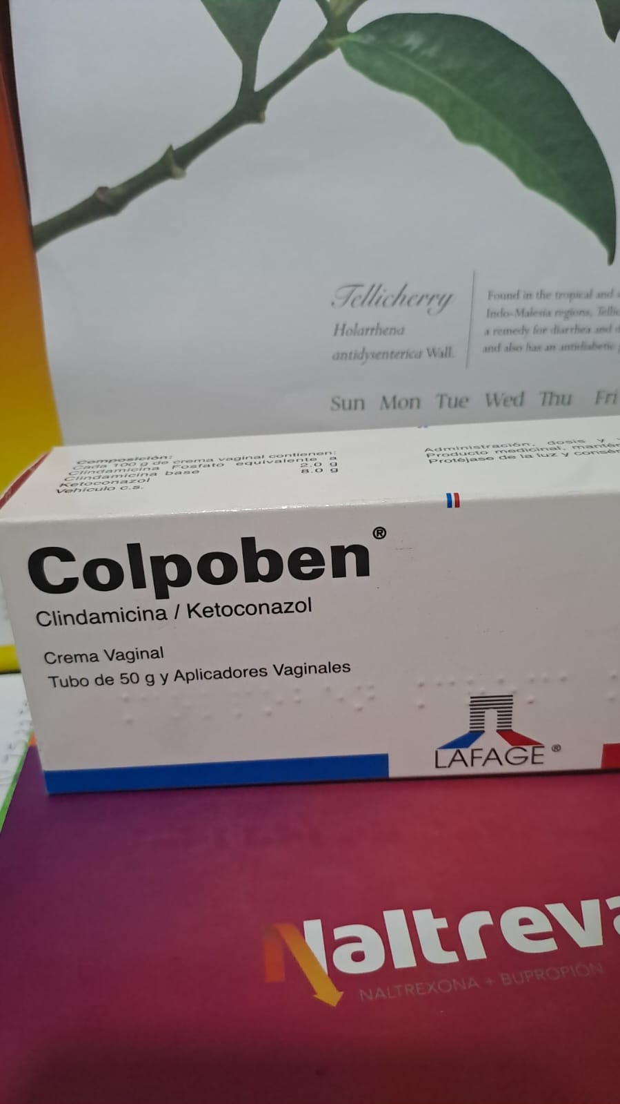 COLPOBEN (Cindamicina/ Ketoconazol) CREMA VAGINAL - FARMACIA NUEVO MILENIO