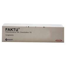 FAKTU (Policresuleno 5% cincocaína 1%) - FARMACIA NUEVO MILENIO