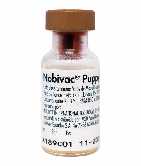 Nobivac PUPPY DP - Clínica veterinaria Dr. Can