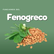 FENOGRECO COMPUESTO EN CÁPSULAS A BASE DE PLANTAS MEICINALES - FARMACIA NUEVO MILENIO