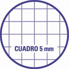 50H HOJA BOND DE CUADROS 5MM TAMAÑO CARTA - Distribuidora Escolar Los Riscos