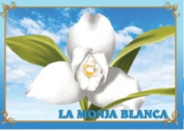 LÁMINA DE LA MONJA BLANCA - Distribuidora Escolar Los Riscos